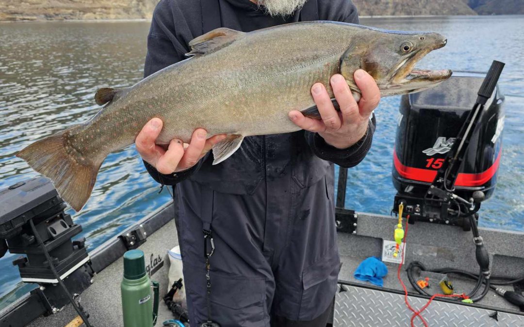 Lake Billy Chinook 1-30-2024