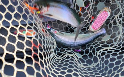 How to Catch Kokanee Salmon at Paulina Lake in Central Oregon