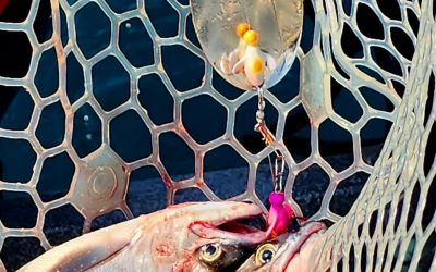 Poulsen Cascade Tackle Twirlee-Gig