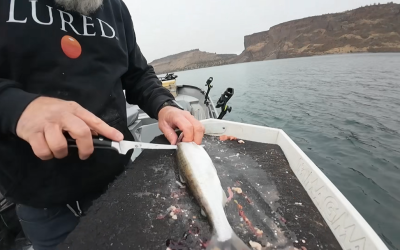 Lake Billy Chinook 11-28-2025