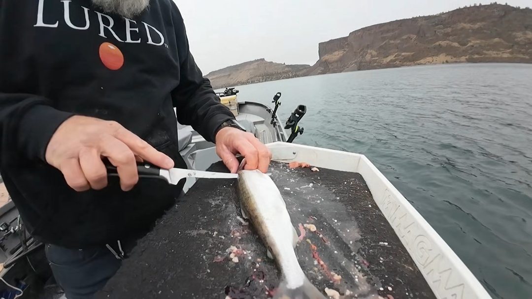 Lake Billy Chinook 11-28-2025