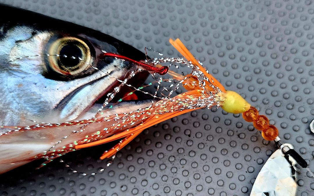 Lured Kokanee Tackle “Fingerlings”