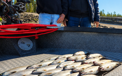 Summer Kokanee Fishing in Central Oregon: Why Early Starts, Smart Electronics, and Fine-Tuned Gear Make A Difference